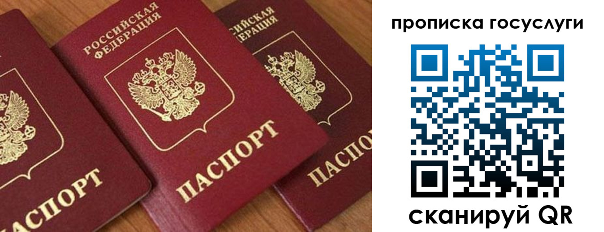 временная прописка в Мурманске