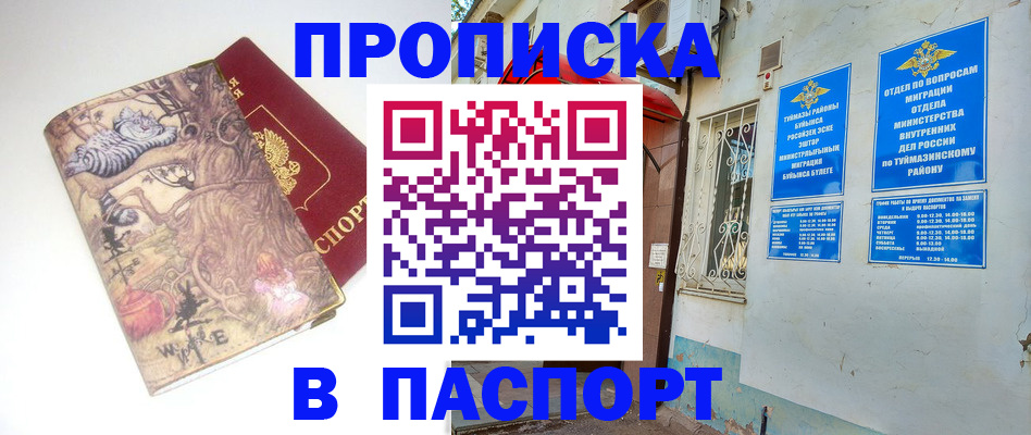 пропишу в квартире в Мурманске